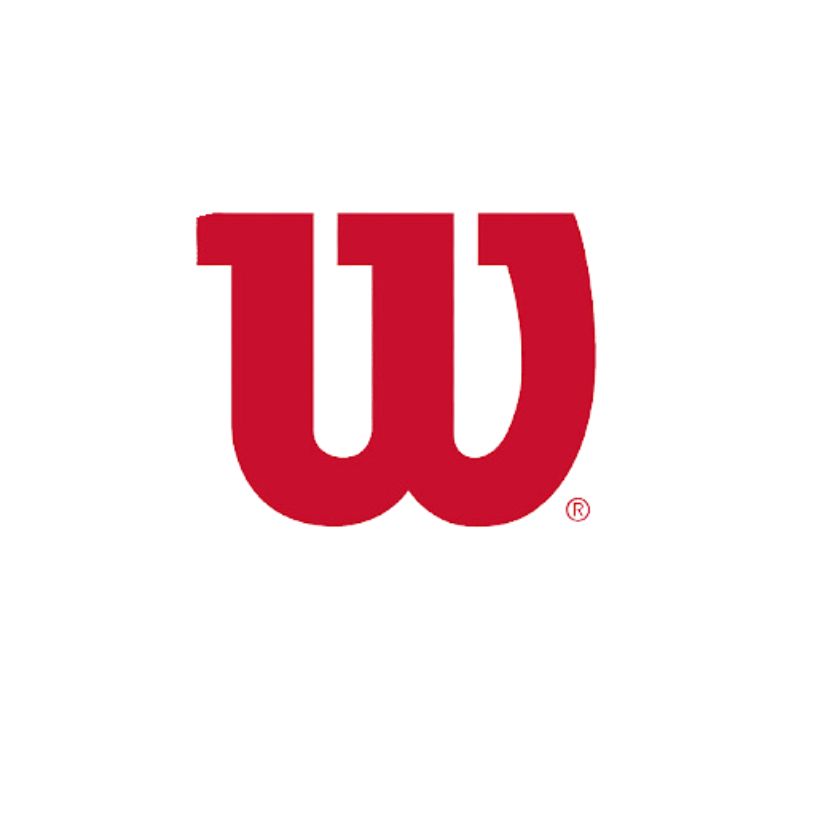 Wilson logo